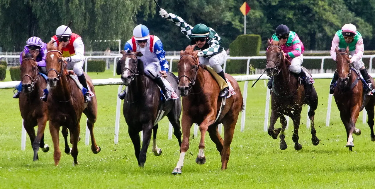 Chevaux de course lancés au galop en pleine compétition