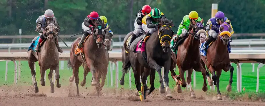 Chevaux de course en plein galop sur l’hippodrome lors d’un tiercé