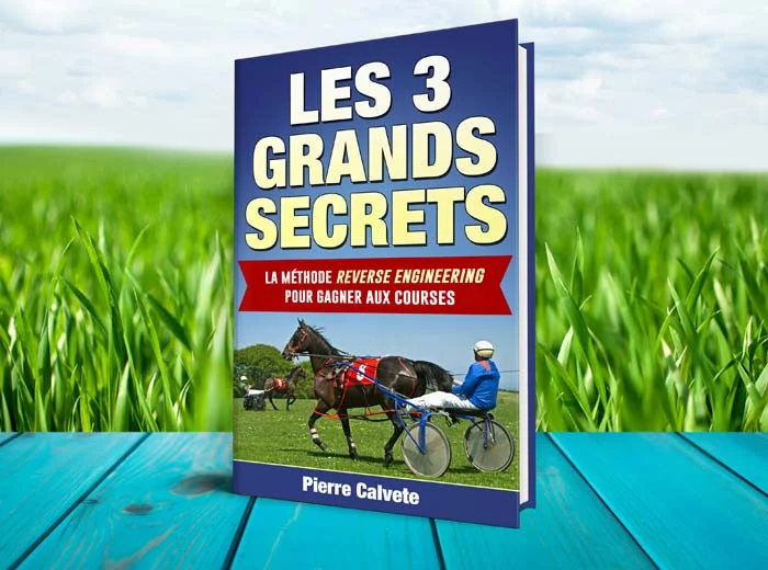 Couverture du livre électronique La Méthode Reverse Engineering